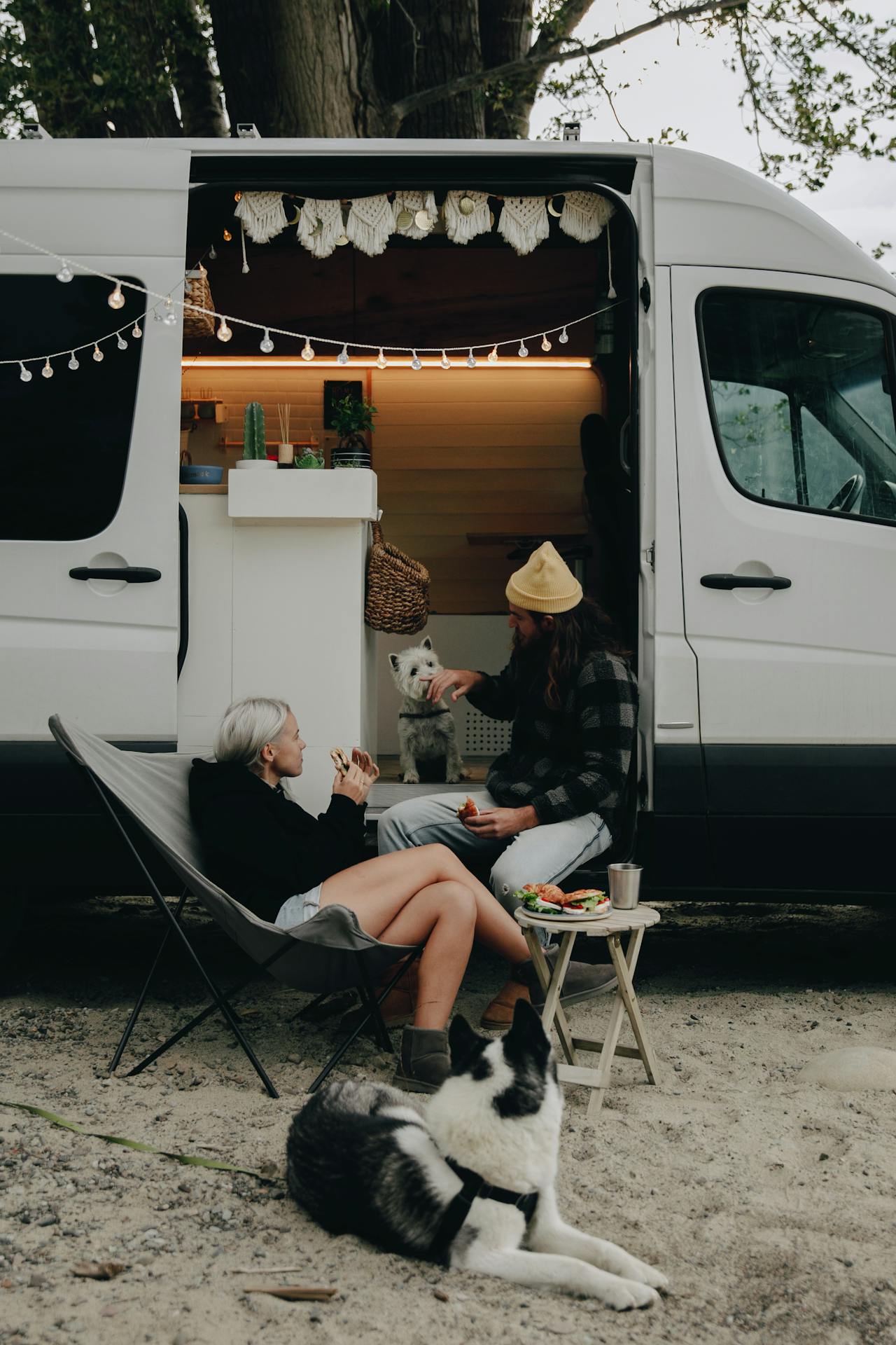 Travelling with your dog